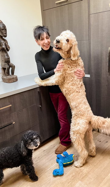 Liz and her dogs Liz and her dogs