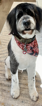 Large Mix: #355 Lady with Kathy Redfern