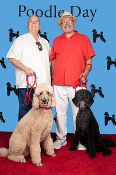 Standard – Black or Grey: #523 Frida with Michael McCall