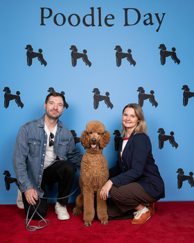 Standard – Apricot, Red or Brown: #709 Olaf with Anna Maria Galinska