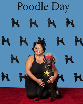 Poodle Day 2026 Winner