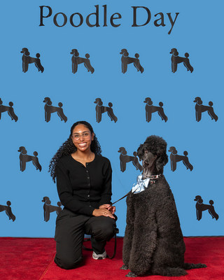 Poodle Day 2026 Winner