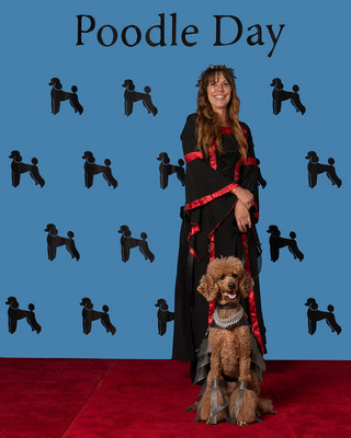 Poodle Day 2026 Winner