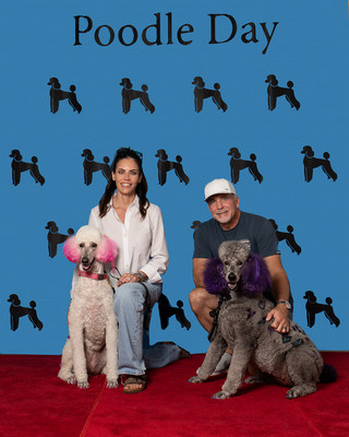 Poodle Day 2026 Winner