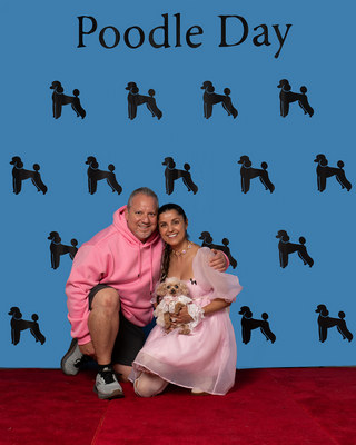 Poodle Day 2026 Winner