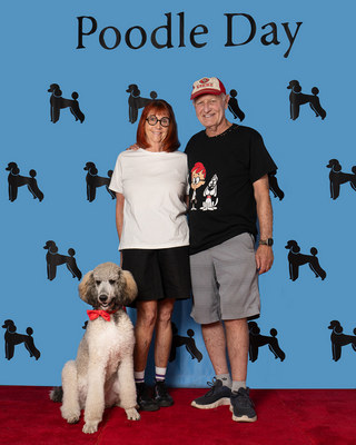 Poodle Day 2026 Winner