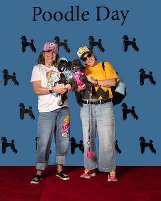 Poodle Day 2026 Winner