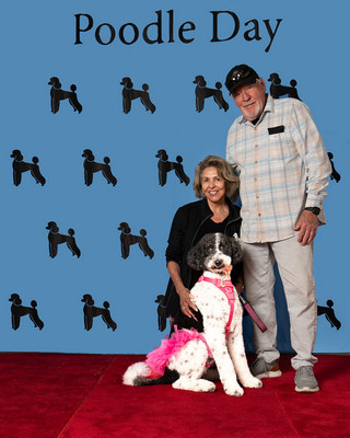 Poodle Day 2026 Winner