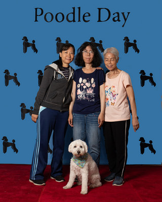 Poodle Day 2026 Winner