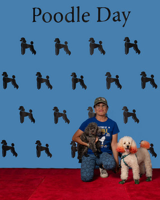 Poodle Day 2026 Winner
