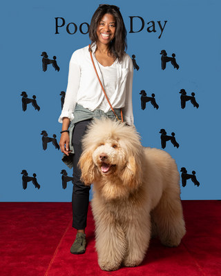 Poodle Day 2026 Winner