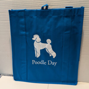 Grocery Bag turquoise