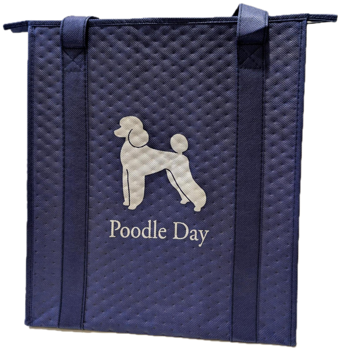 Insulated Grocery Bag